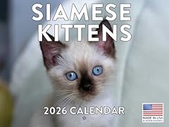 Siamese kitten calendar for sale  Delivered anywhere in USA 