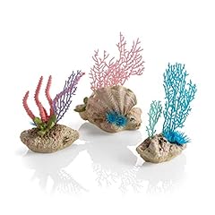 Oase set coralli usato  Spedito ovunque in Italia 