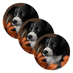 Kyzsxz border collie for sale  Delivered anywhere in USA 