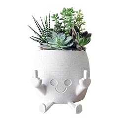Eliphontowne smile plant for sale  Delivered anywhere in UK