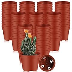 Ysglory 200 pcs for sale  Delivered anywhere in USA 
