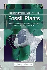 Identification guide fossil for sale  Delivered anywhere in USA 