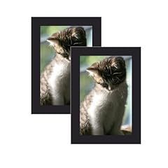 2pcs photo frames for sale  Delivered anywhere in UK