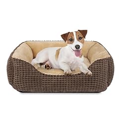 Joejoy cuccia cane usato  Spedito ovunque in Italia 