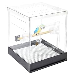 Pennzoni small bird for sale  Delivered anywhere in USA 