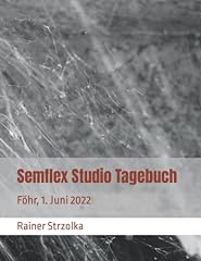Semflex studio tagebuch usato  Spedito ovunque in Italia 