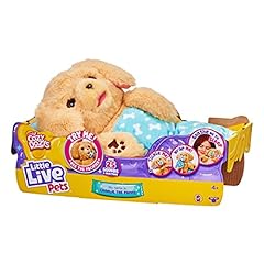 Little live pets for sale  Delivered anywhere in UK