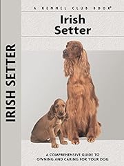 Irish setter for sale  Delivered anywhere in UK
