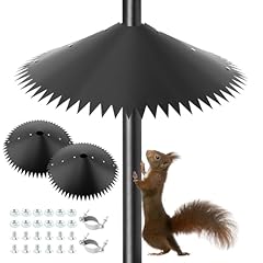 Iayokocc pack squirrel for sale  Delivered anywhere in USA 