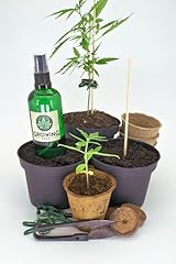 Growing corp cannabis gebraucht kaufen  Wird an jeden Ort in Deutschland