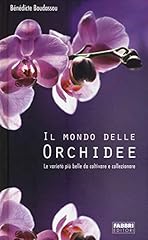 Delle orchidee usato  Spedito ovunque in Italia 