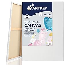 Stretched canvases painting for sale  Delivered anywhere in USA 