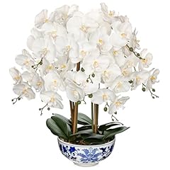 Briful large orchid for sale  Delivered anywhere in USA 