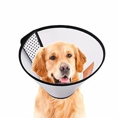 Kooteenyao pack dog for sale  Delivered anywhere in UK