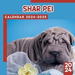 Shar pei 2024 for sale  Delivered anywhere in UK