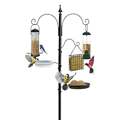 Pelle sol bird for sale  Delivered anywhere in UK