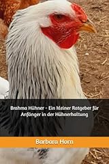 Brahma hühner kleiner gebraucht kaufen  Wird an jeden Ort in Deutschland