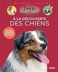 Découverte chiens d'occasion  Livré partout en France