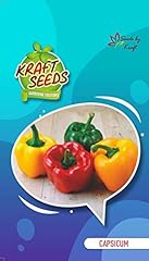 Seeds angan capsicum usato  Spedito ovunque in Italia 