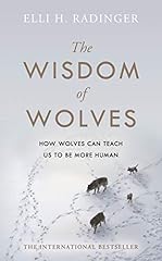 The wisdom wolves usato  Spedito ovunque in Italia 