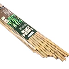 Cambaverd bamboo stakes for sale  Delivered anywhere in USA 