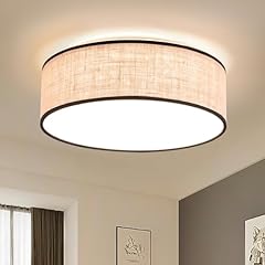 Ceiling light fixture for sale  Delivered anywhere in USA 