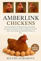 Amberlink chickens selecting for sale  Delivered anywhere in USA 