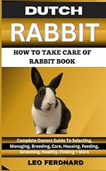 Dutch rabbit. take for sale  Delivered anywhere in UK