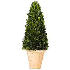 Boxwood valley real for sale  Delivered anywhere in USA 