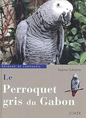 Perroquet gris gabon d'occasion  Livré partout en Belgiqu