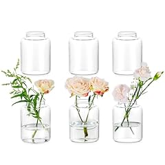 Glasseam glas vasen gebraucht kaufen  Wird an jeden Ort in Deutschland