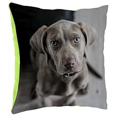 Fabulous coussin peluche d'occasion  Livré partout en France