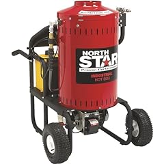 Northstar electric wet for sale  Delivered anywhere in USA 