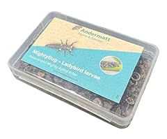 Mightybug larvae aphid for sale  Delivered anywhere in UK
