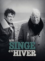 Singe hiver d'occasion  Livré partout en France