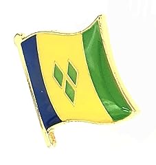 Pin drapeau saint d'occasion  Livré partout en France