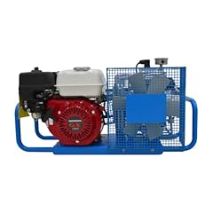 Tuxing 4500psi pcp for sale  Delivered anywhere in USA 