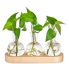Mkono desktop plant for sale  Delivered anywhere in USA 