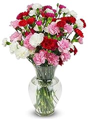 Benchmark bouquets stem for sale  Delivered anywhere in USA 