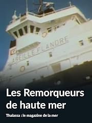 Remorqueurs haute mer d'occasion  Livré partout en France