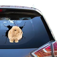 Holland lop car for sale  Delivered anywhere in USA 