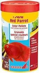 Sera red parrot for sale  Delivered anywhere in USA 