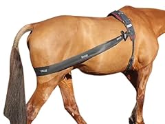Premium lunging band for sale  Delivered anywhere in UK