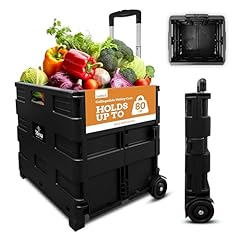 Inspired living collapsible for sale  Delivered anywhere in USA 
