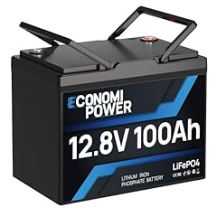 Economipower lifepo4 100ah gebraucht kaufen  Wird an jeden Ort in Deutschland