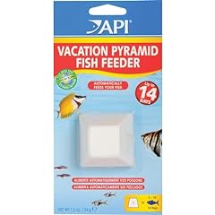 Api vacation pyramid for sale  Delivered anywhere in USA 