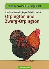 Rpington zwerg rpington gebraucht kaufen  Wird an jeden Ort in Deutschland