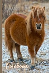 Shetland pony notebook for sale  Delivered anywhere in USA 