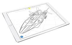 Apple ipad pro usato  Spedito ovunque in Italia 