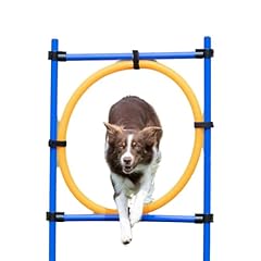 Trixie agility ring gebraucht kaufen  Wird an jeden Ort in Deutschland